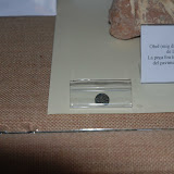 aporta-5.jpg