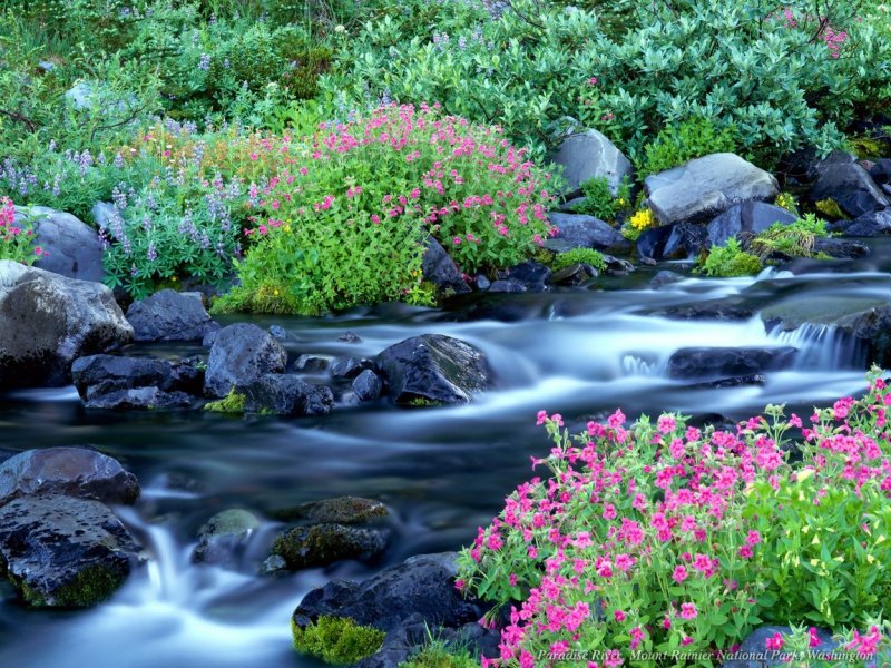 http://lh6.ggpht.com/_3lyje7u1jgg/SKd1NL3uJII/AAAAAAAABWc/0hUlaMNGvZA/s800/27270np8ap3ec12.jpg