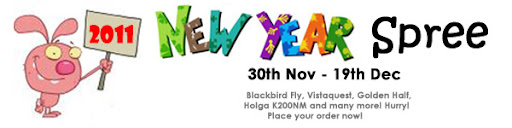 2011 New Year Spree for toy cameras