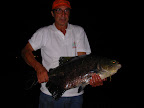 DSCN3773.JPG