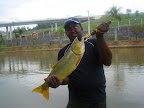 lagoa-002.jpg