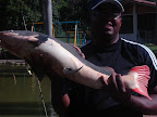 lagoa-007.jpg