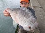 DSCF2113.JPG