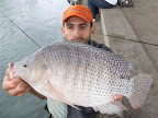DSCF2114.JPG