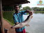 FOTO01.jpg