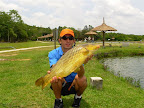 DSCN3505.JPG