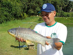 Pesqueiro Anhanguera 18-03-2008 012.jpg
