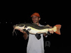 DSCN4253.JPG