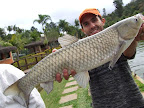 DSCF2273.JPG