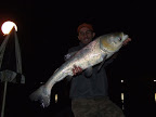 DSCF2277.JPG