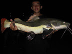 DSCN3956.JPG