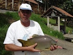 pantanoss0007.jpg