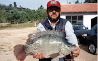 pantanosso0058.jpg