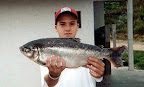 pantanosso0082.jpg