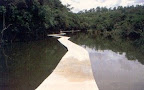 pantanosso0i.jpg