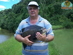 Pacu(7).jpg