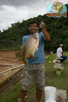 Pacu(2).jpg