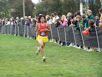 100B5300.JPG Photo