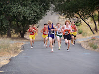 100B5321.JPG Photo