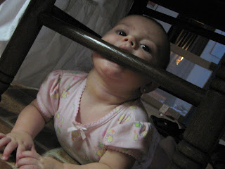 IMG_0006-1.JPG