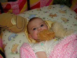 DSCN9462.JPG