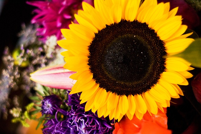 [flower3[3].jpg]