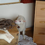DSC01540.JPG
