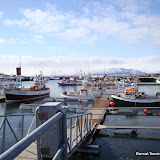 DSC01507.JPG