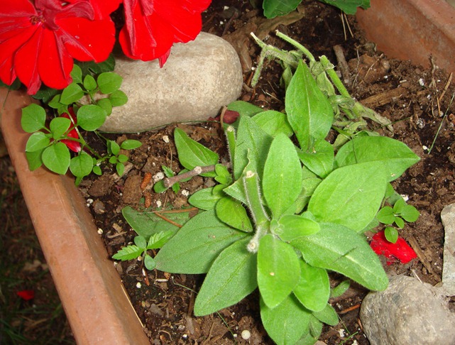 DSC03814 DSC03814