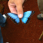 116-1665_IMG.JPG