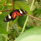 116-1676_IMG.JPG