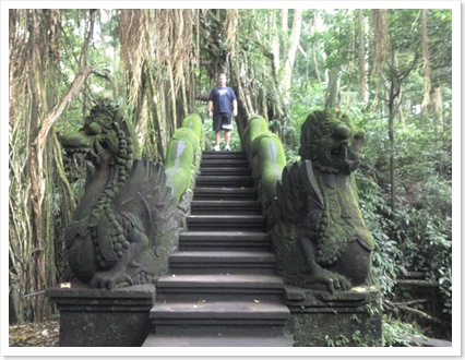 monkey forest 2