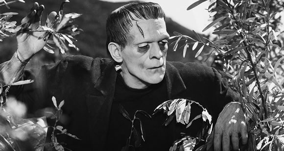 [frankenstein-1[4].jpg]