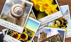 Thumbnail image for 50个免费的相册程序