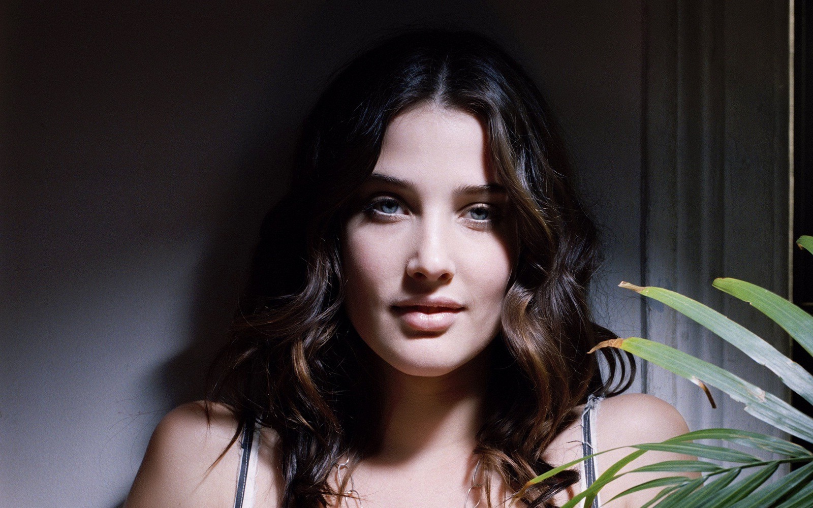 [cobie smulders 1650x1080 hollywood celebs wallpapers[5].jpg]