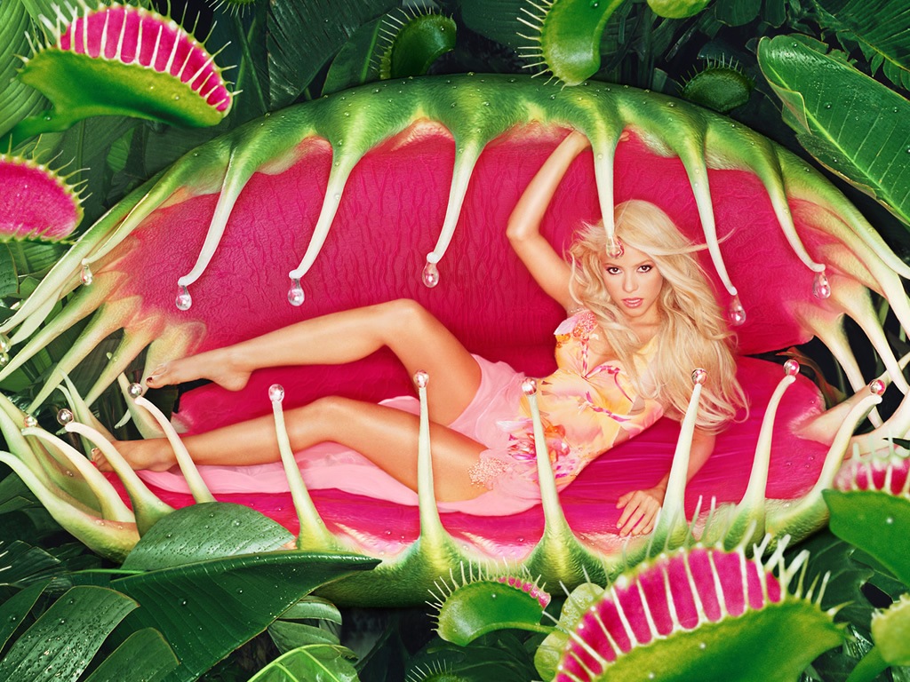 [shakirahotwallpapers1024x7681hollywo[2].jpg]