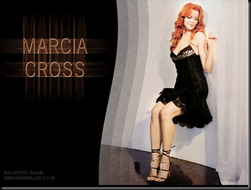 Marcia Cross 1024x768 (3) desktop wallpapers 