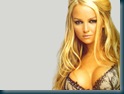 Jennifer Ellison 1024x768 8 Hollywood Celebs Wallpapers