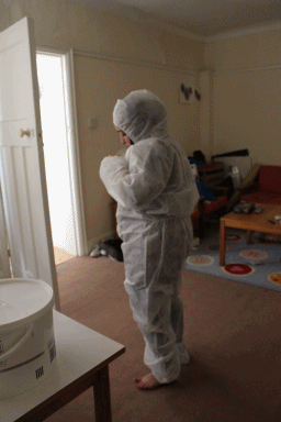 [nas[2].gif]