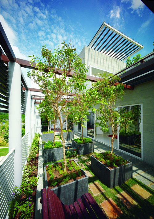 garden on eco villa concept design