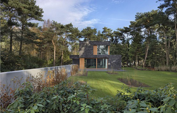 modern forest black house design
