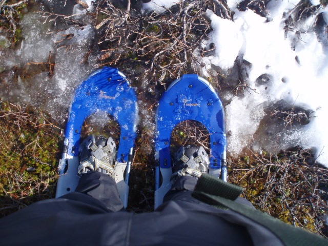 [myrefjell 09 012[4].jpg]