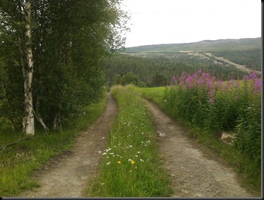 sensommer 2010 007