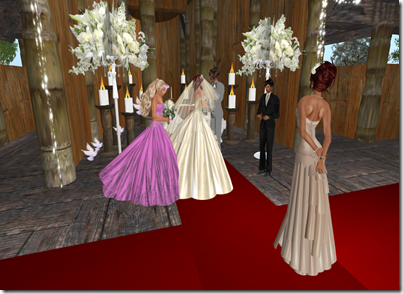 Snapshot_670