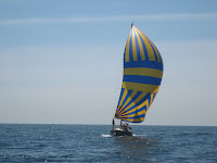 NA 5 Active under spinnaker - great looking sail!
