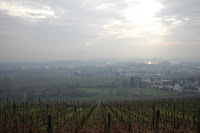 View of Rhine R. valley from Schloss Johannesburg Winery