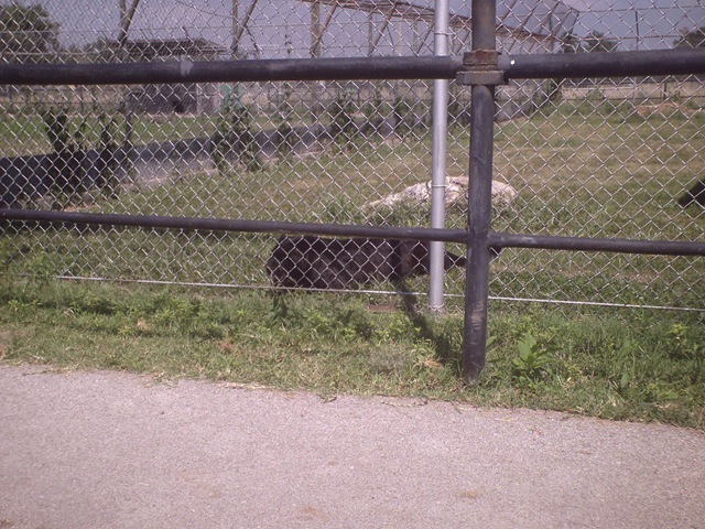 [SUNP00162.jpg]