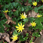 http://lh6.ggpht.com/_429O-23W9gQ/TZrRWa-aGRI/AAAAAAAAAKA/Wg8-REbAr_s/aDSCF3548.jpg