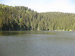 http://lh6.ggpht.com/_429O-23W9gQ/TckHpVuLteI/AAAAAAAAAiU/MfAq1-xuAIw/VosgesEte2011%20029.JPG