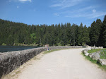 http://lh6.ggpht.com/_429O-23W9gQ/TckHrG7EdjI/AAAAAAAAAiY/OjJ-KEFBZLI/VosgesEte2011%20031.JPG